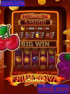 Explorando o Mundo de FruitNovaSuper: A Nova Sensação de XDXD.COM