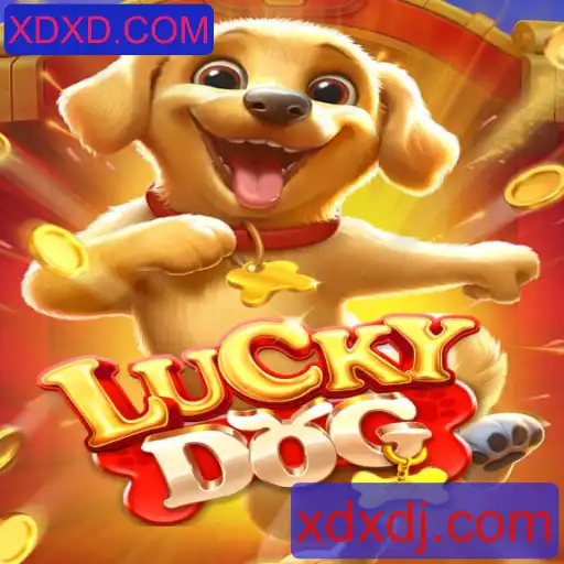 Desvendando LuckyDog: O Jogo dos Sonhos com XDXD.COM
